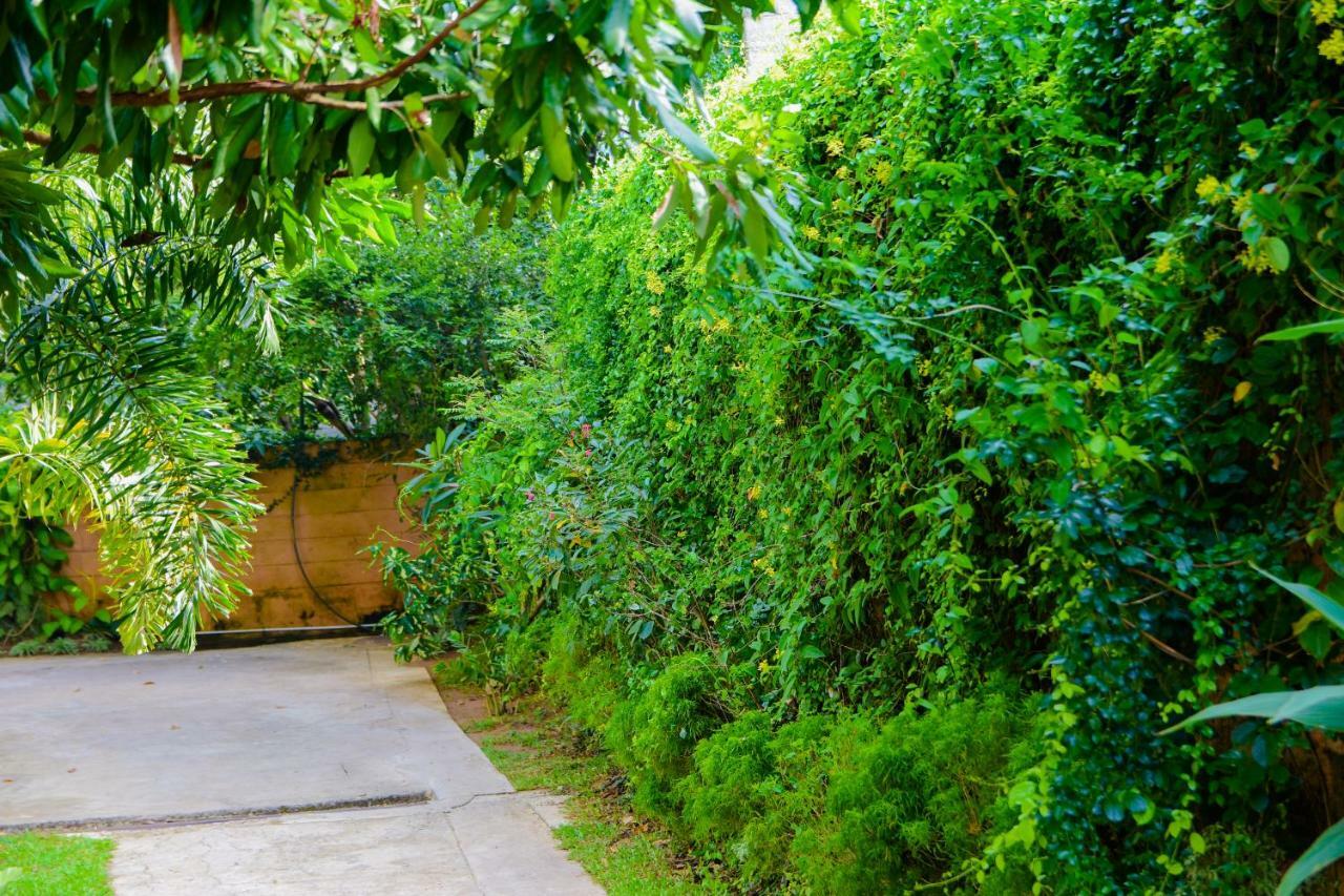 Homestay Garden Rest Kandy Extérieur photo