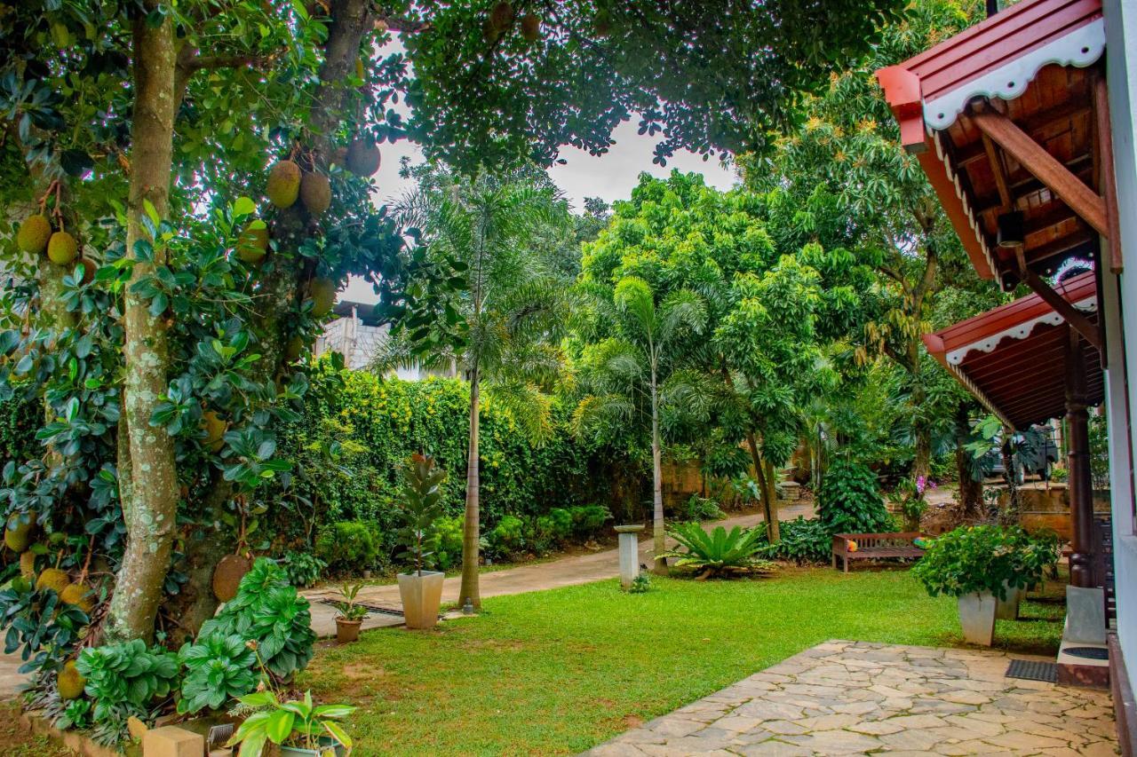 Homestay Garden Rest Kandy Extérieur photo