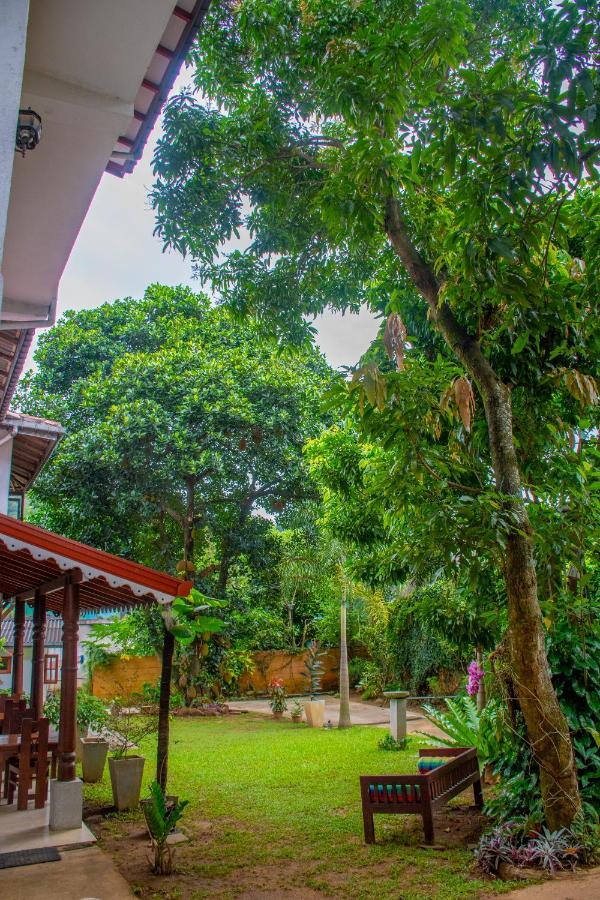Homestay Garden Rest Kandy Extérieur photo